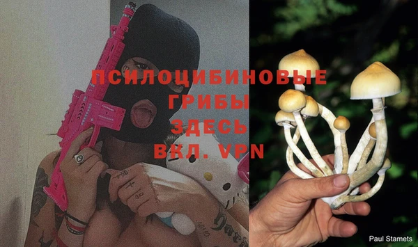 мяу мяу мука Россошь